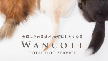 8月11日（土）12日（日）犬と人のための大型複合施設・横浜「WANCOTT」出店